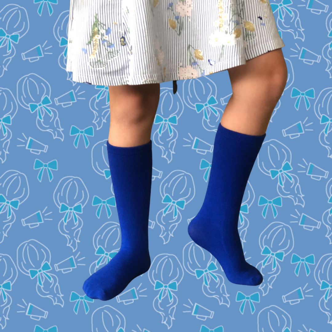 Blue Faction / House Socks