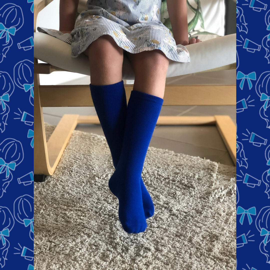 Blue Faction / House Socks