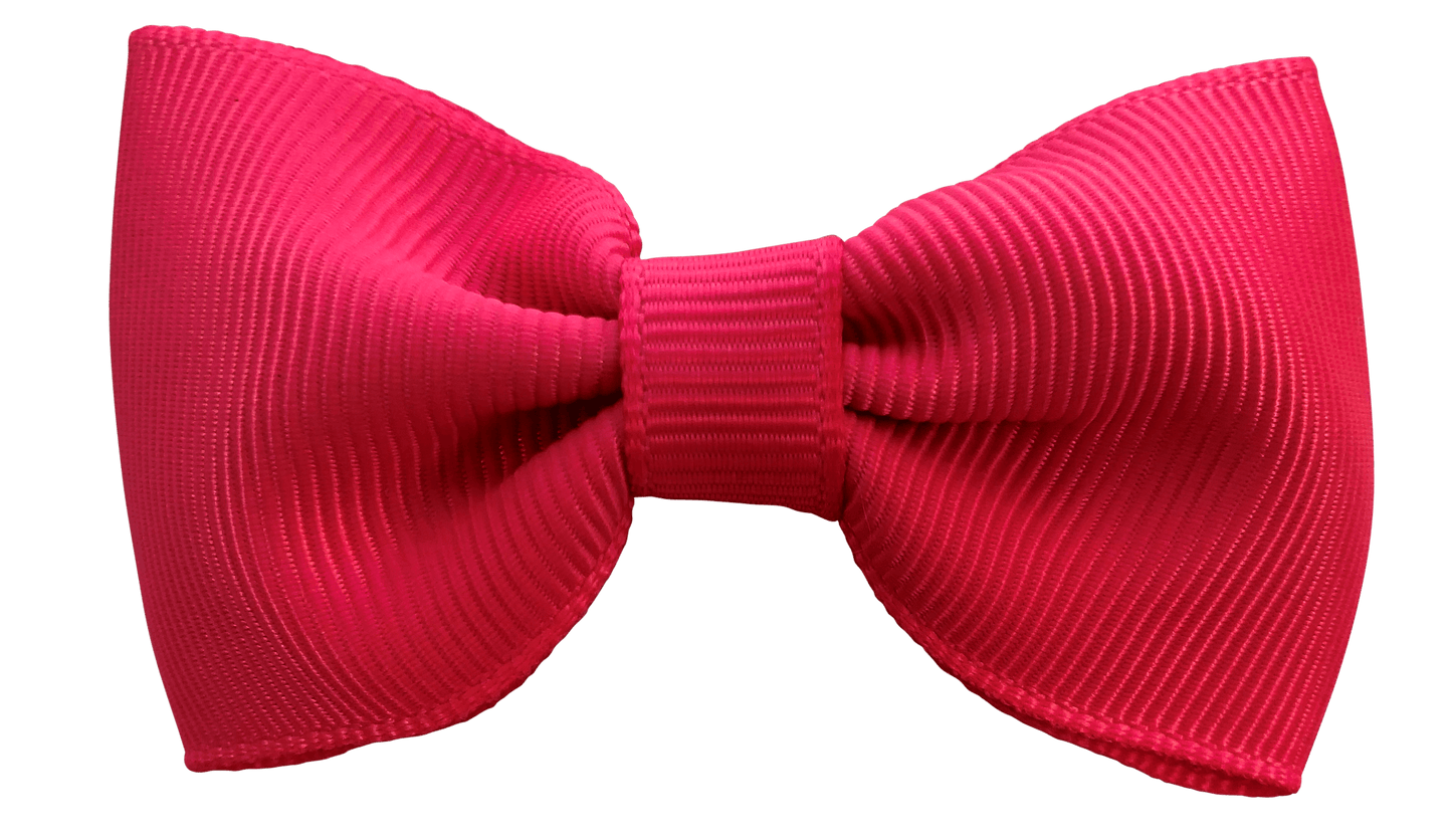 Bowties for Boys - Ponytails and Fairytales