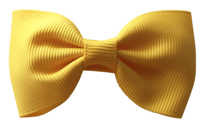 Bowties for Boys - Ponytails and Fairytales