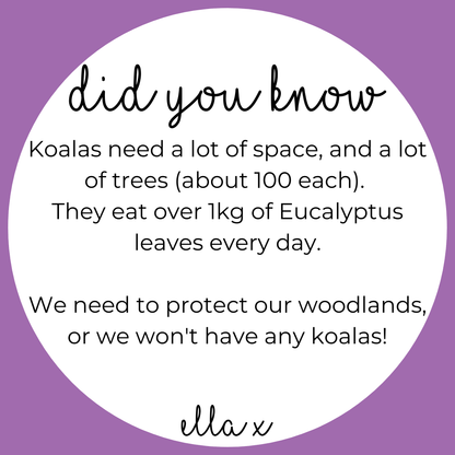 Limited Edition: Koala + Eucalyptus Covered Buttons Hair clips Ella Made 