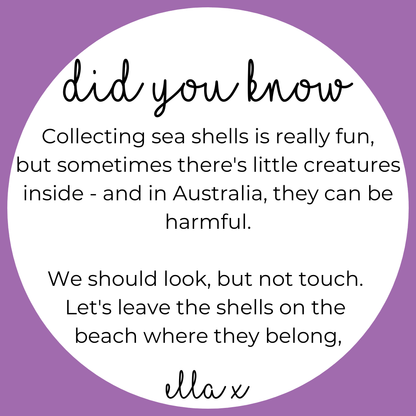 Limited Edition: Sea Shells Covered Buttons Hair clips Ella Made 